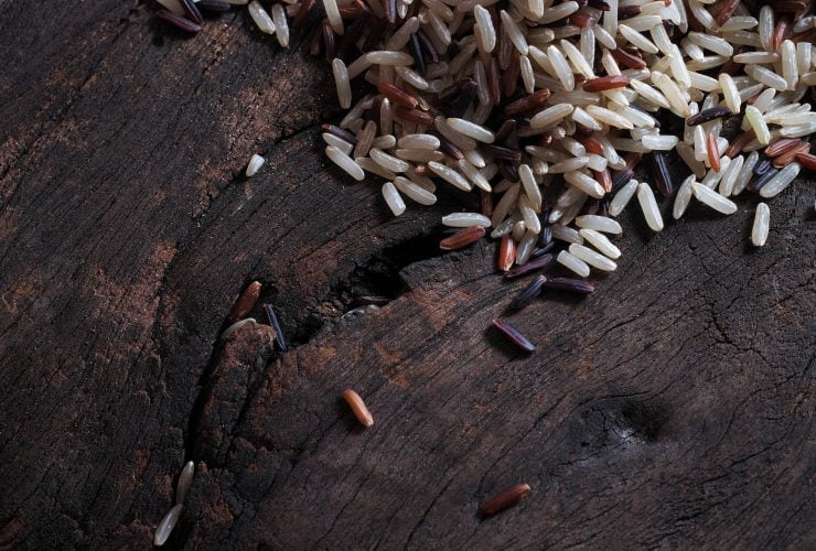 GABA brown rice explained
