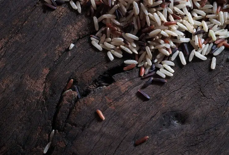 GABA brown rice explained