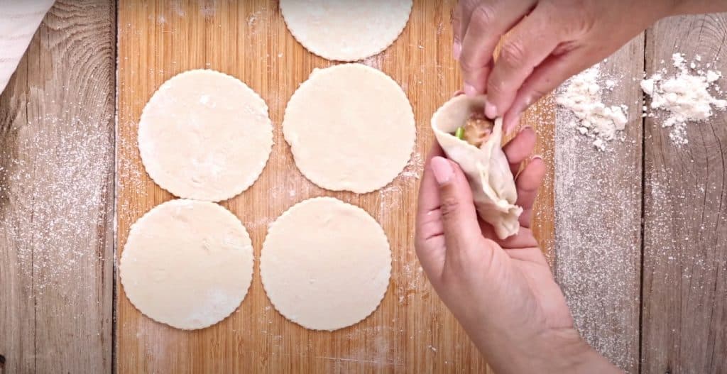 Pot Sticker Dumplings 2