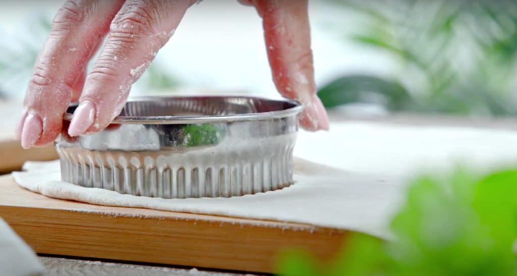 Pot Sticker Dumplings 3