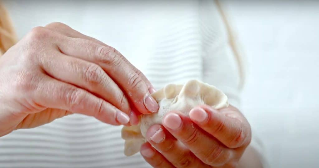 Pot Sticker Dumplings 4